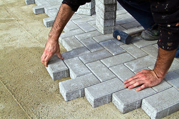 Best Residential Paver Driveway  in Red Lake Falls, MN