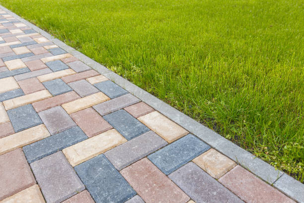 Best Driveway Pavers Near Me  in Red Lake Falls, MN